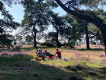 Picknick met de familie